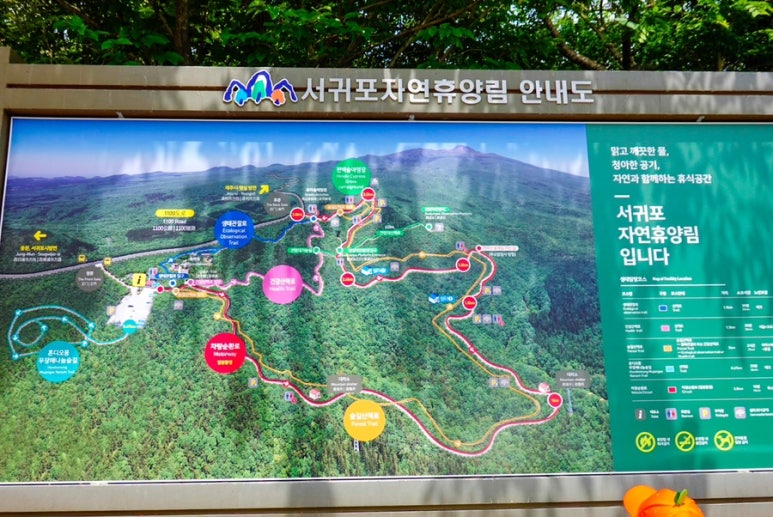 서귀포자연휴양림야영장 이미지
