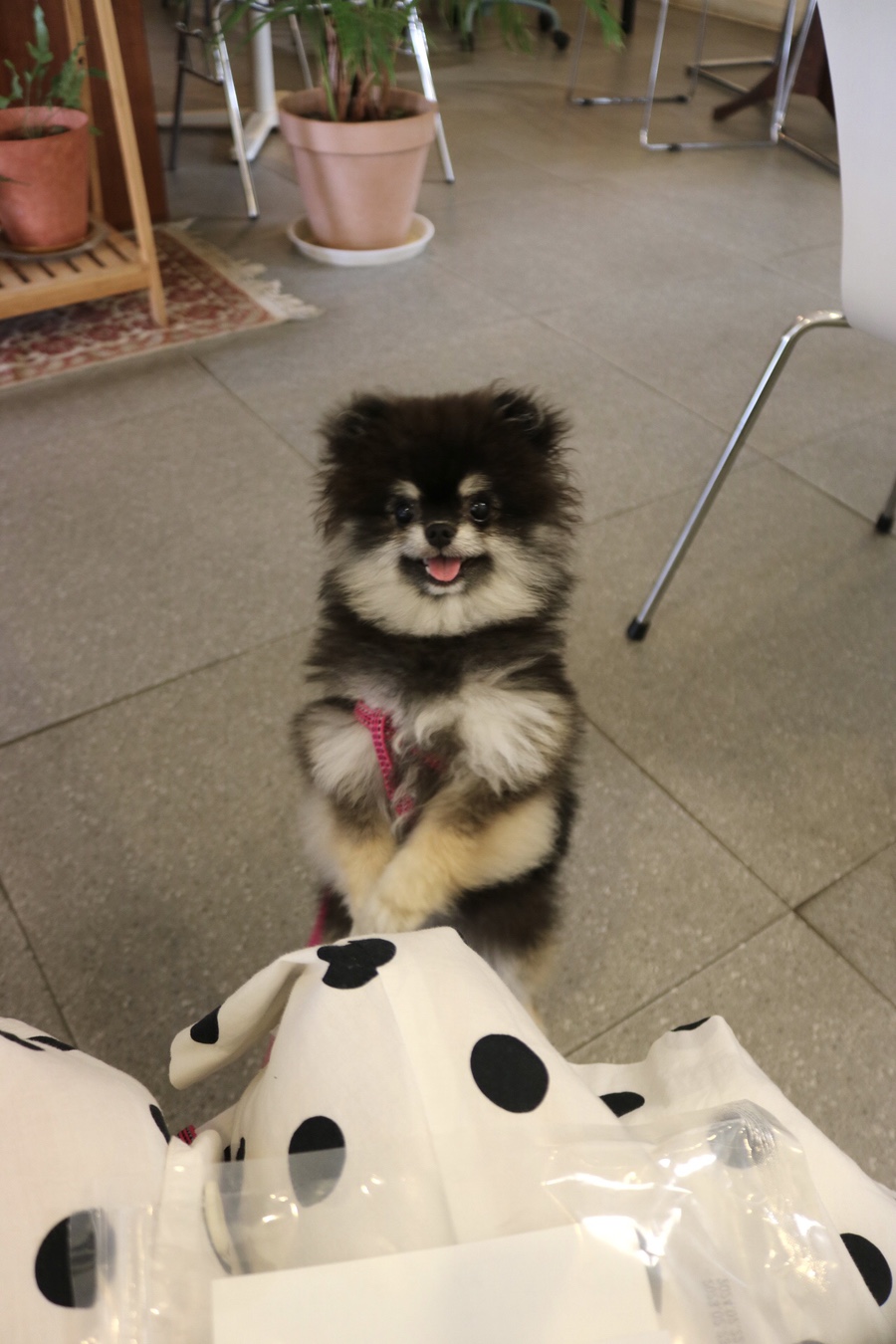 환경운동연합에코생활협동조합 이미지