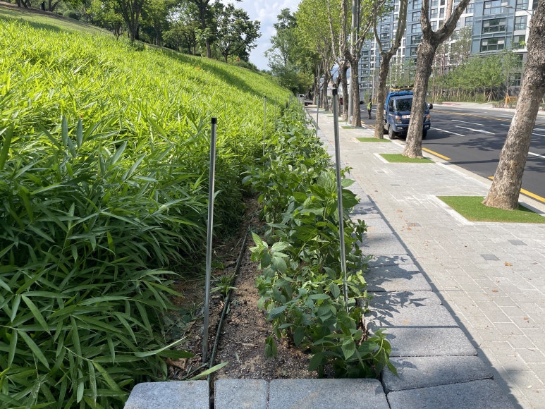 신암조경 이미지