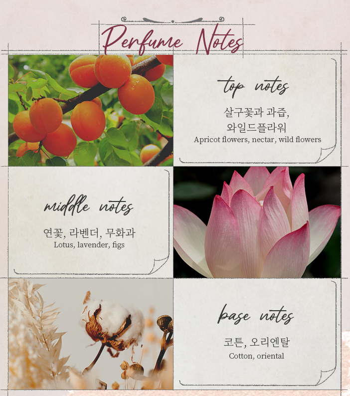 커브 앤 커브 이미지