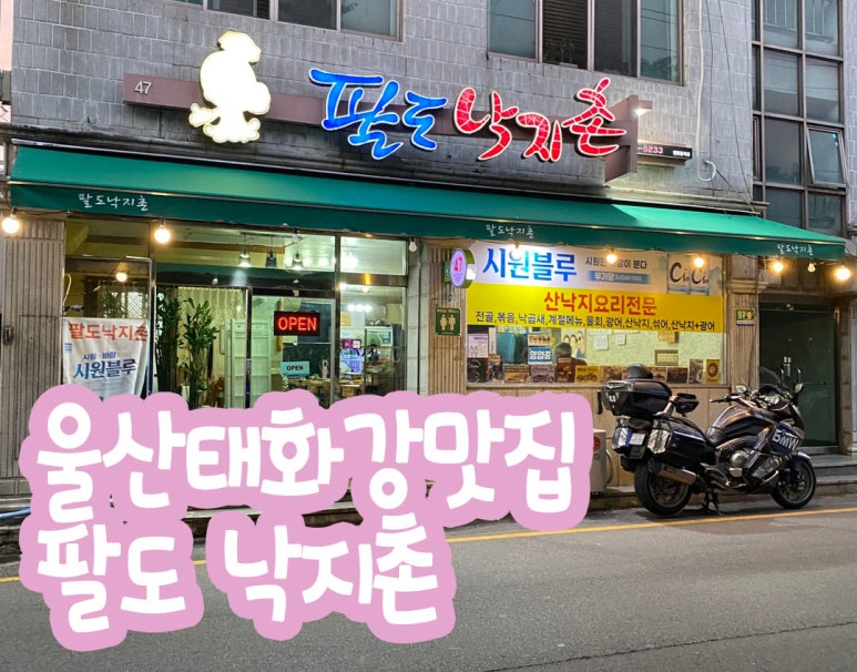 팔도낙지촌 이미지
