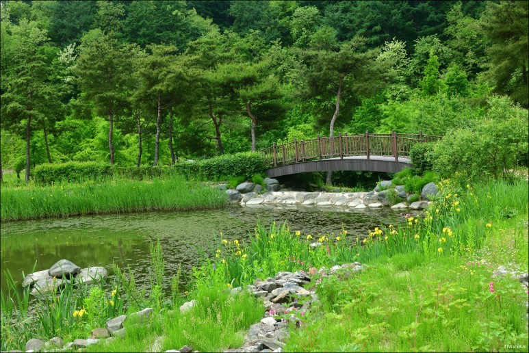 성불산자연휴양림 이미지