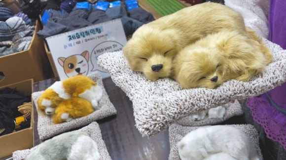 하나제주여행 이미지