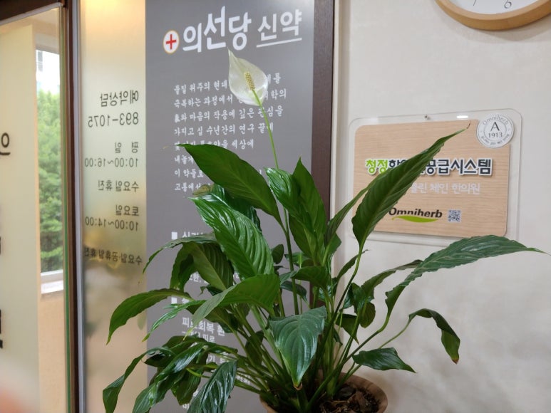 의선당한의원 이미지
