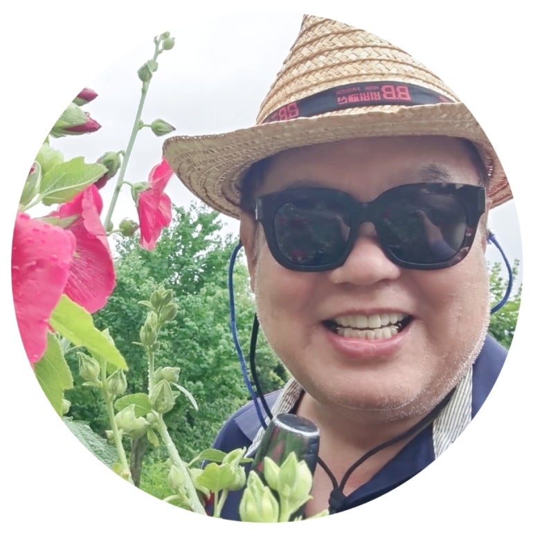 영상화원 이미지