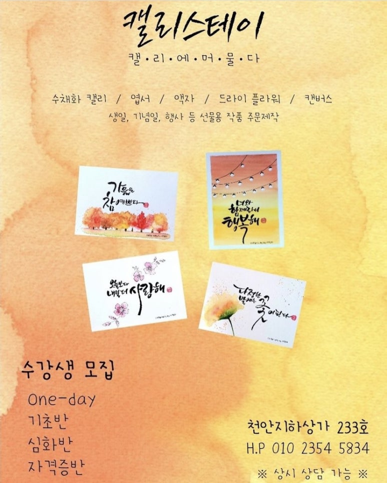 캘리스테이 이미지