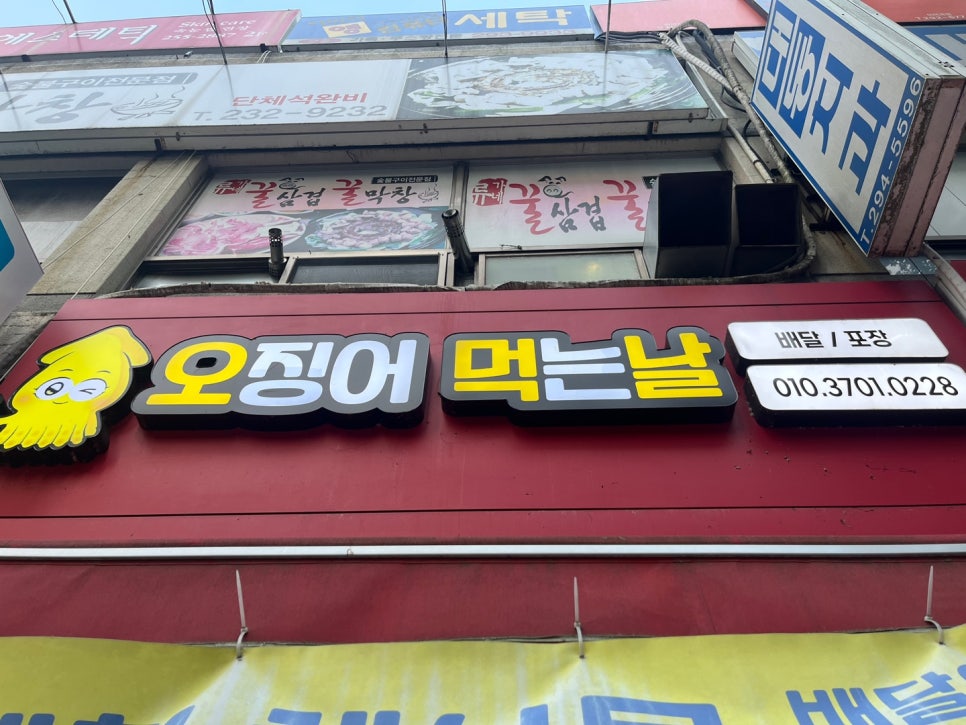 오징어먹는날 이미지