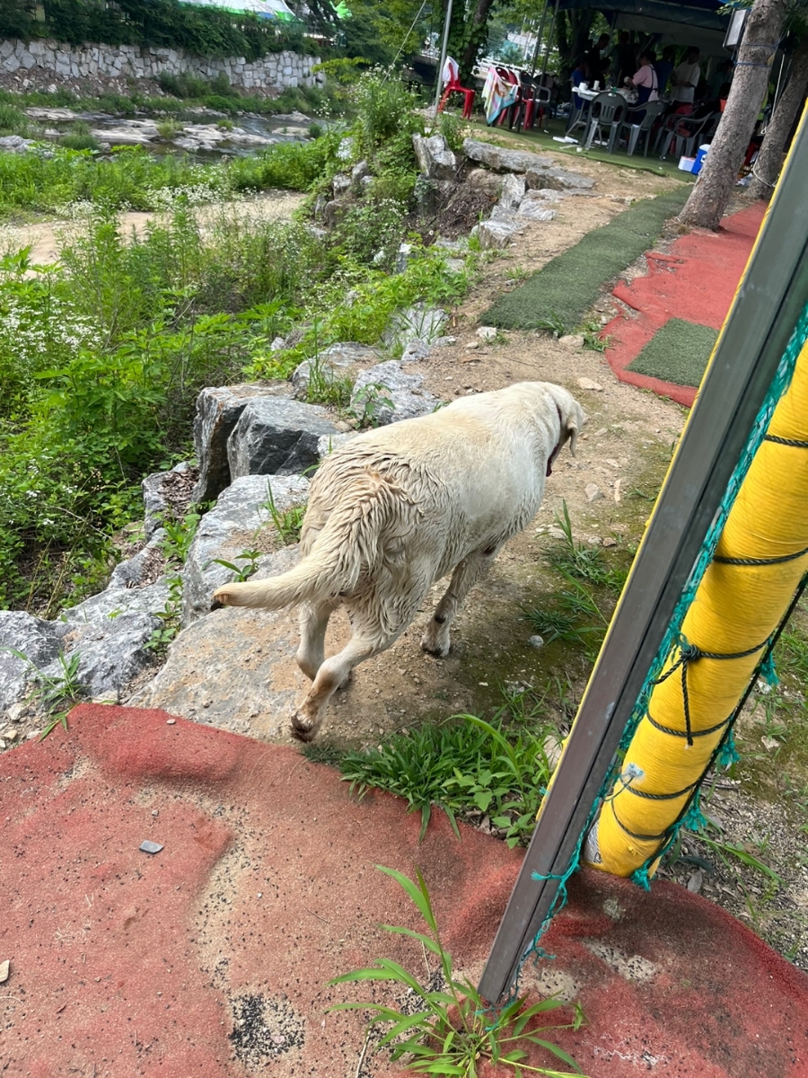 한씨네식당 이미지