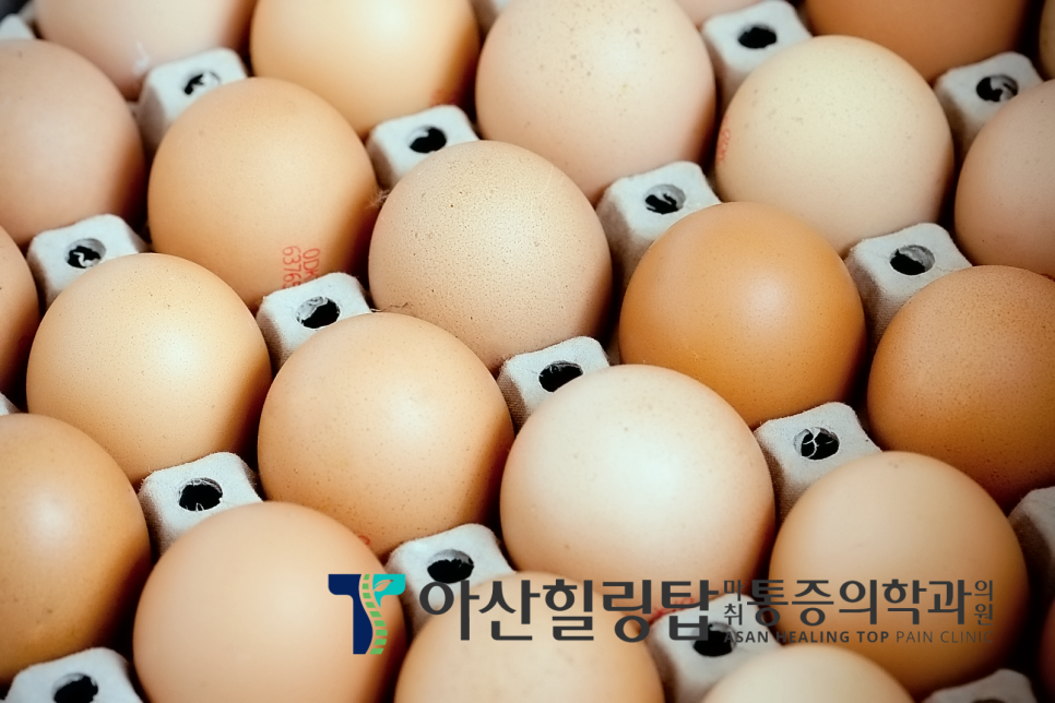 탑식품 이미지