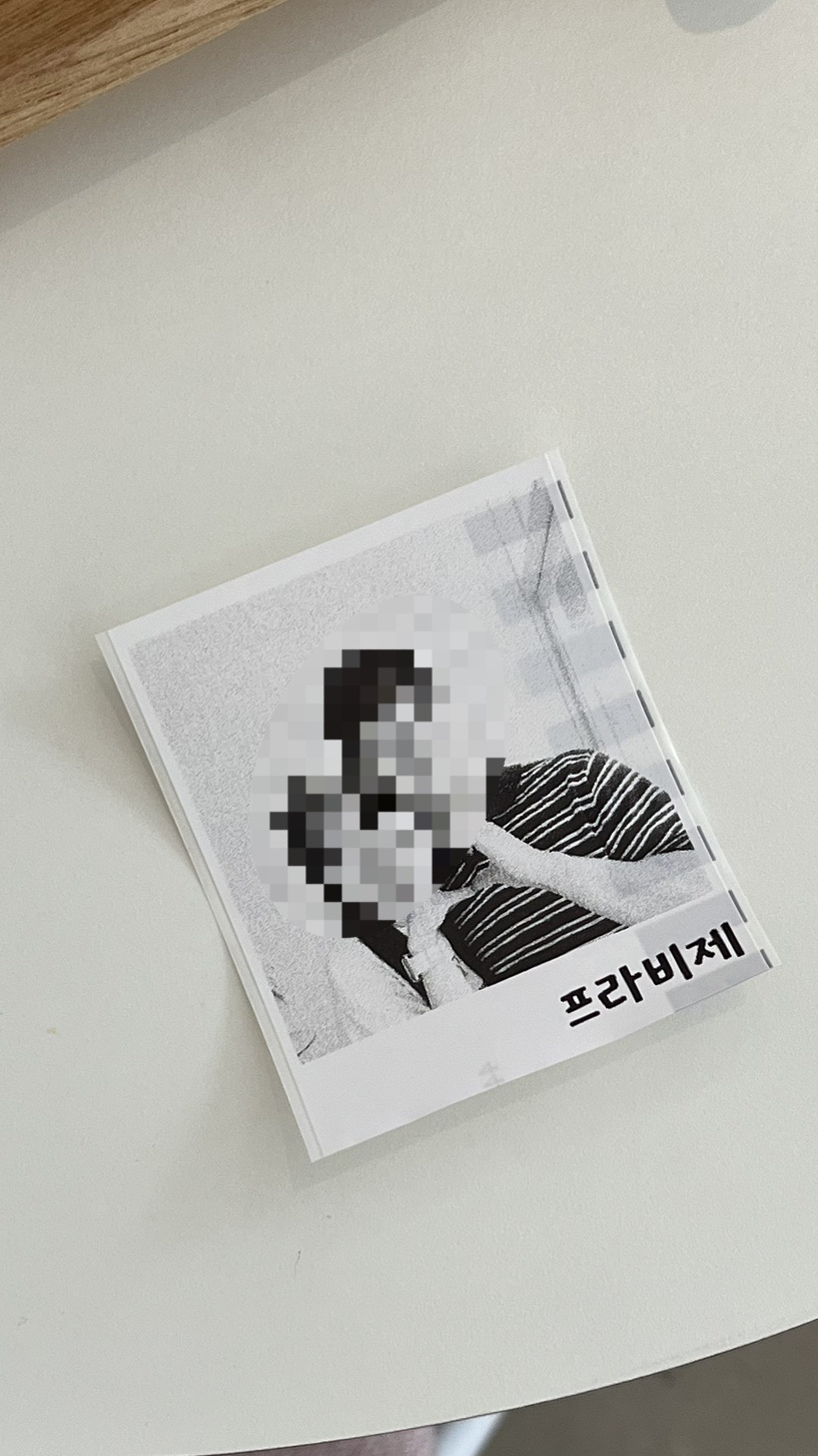 프라비제 이미지