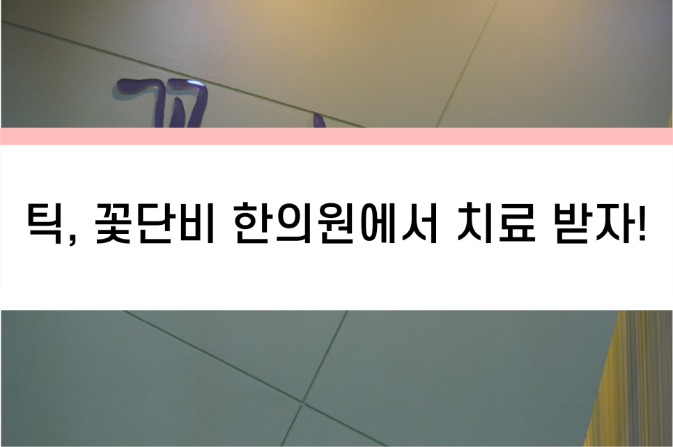 새사랑한의원 이미지