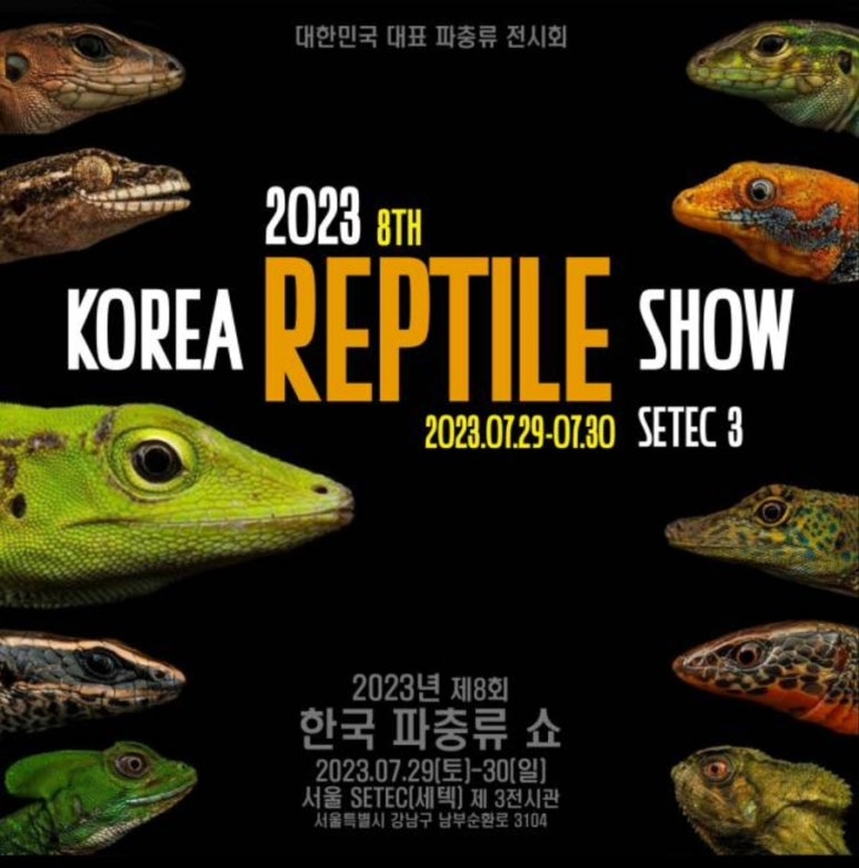 파파샵 이미지