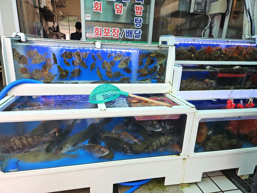창동수산 이미지