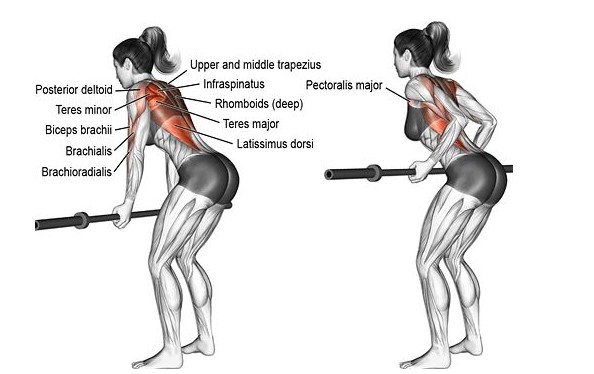 언더핏PT 이미지