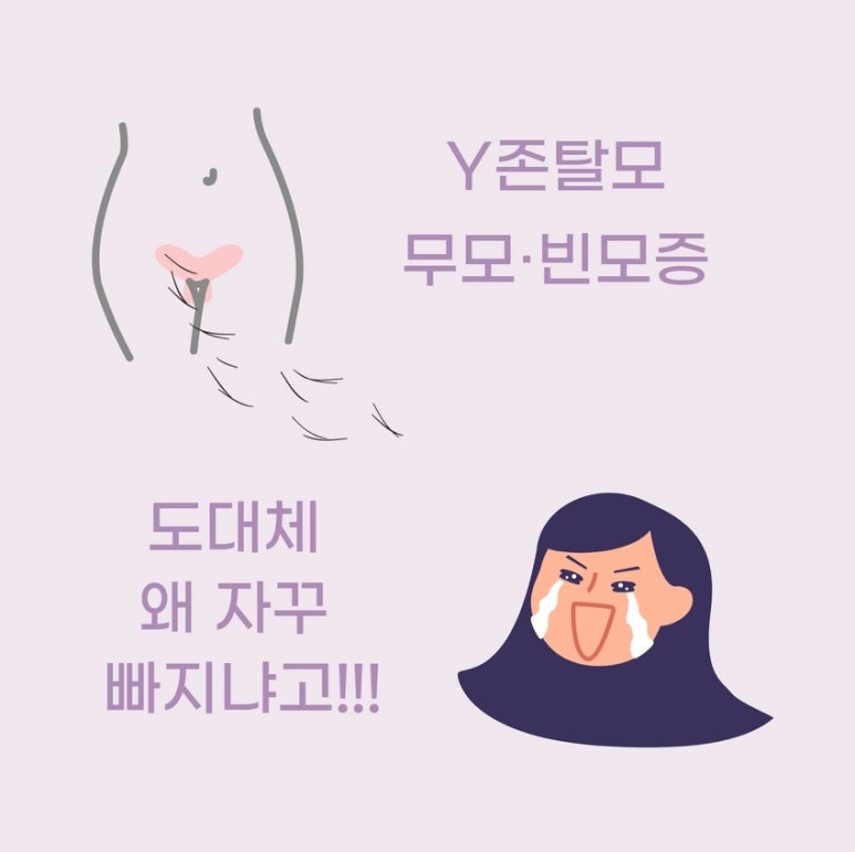 비비비원 이미지