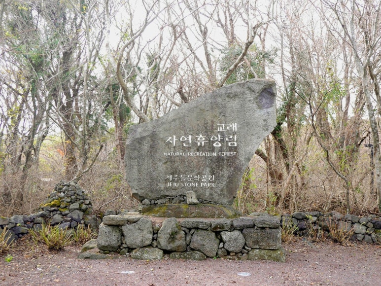 교래자연휴양림 이미지