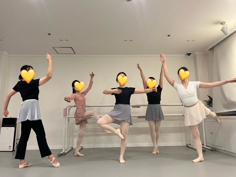 보드레핏 이미지