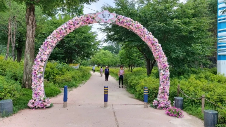 종로할머니칼국수 이미지