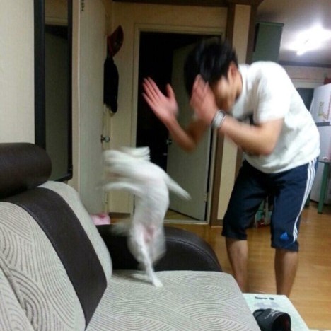 슬로우하우스 이미지