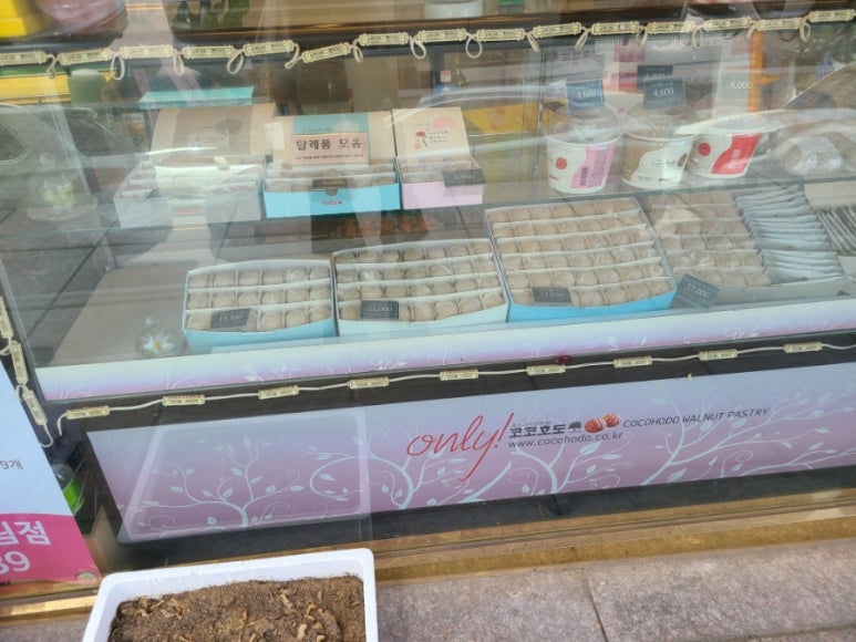코코호도(동림점) 이미지