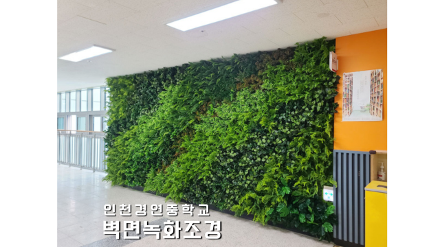 인천경연중학교 이미지