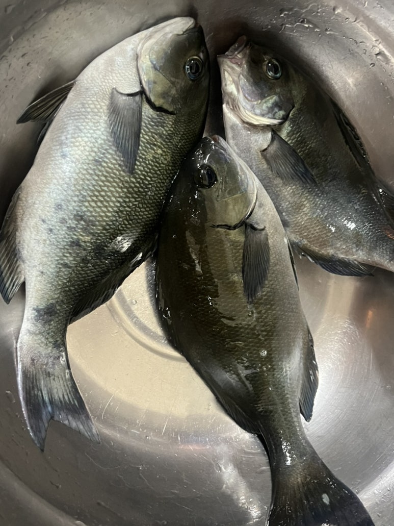 김밥형님볶이아우 이미지