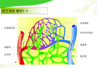 엔비스킨 분당정자점 이미지