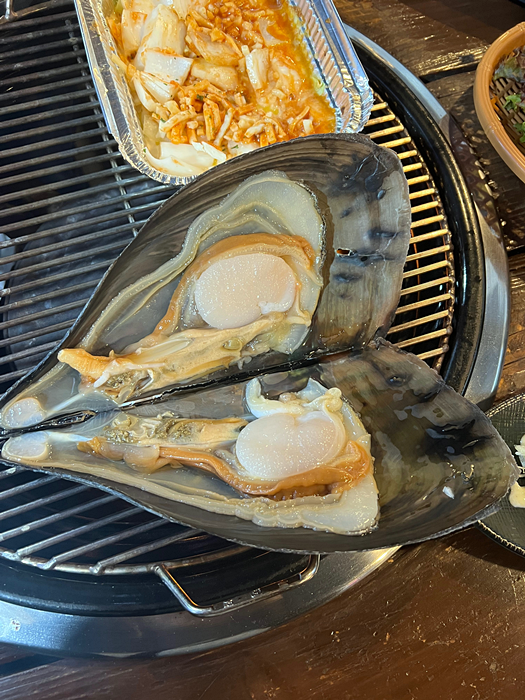 꼬니네회조개 이미지