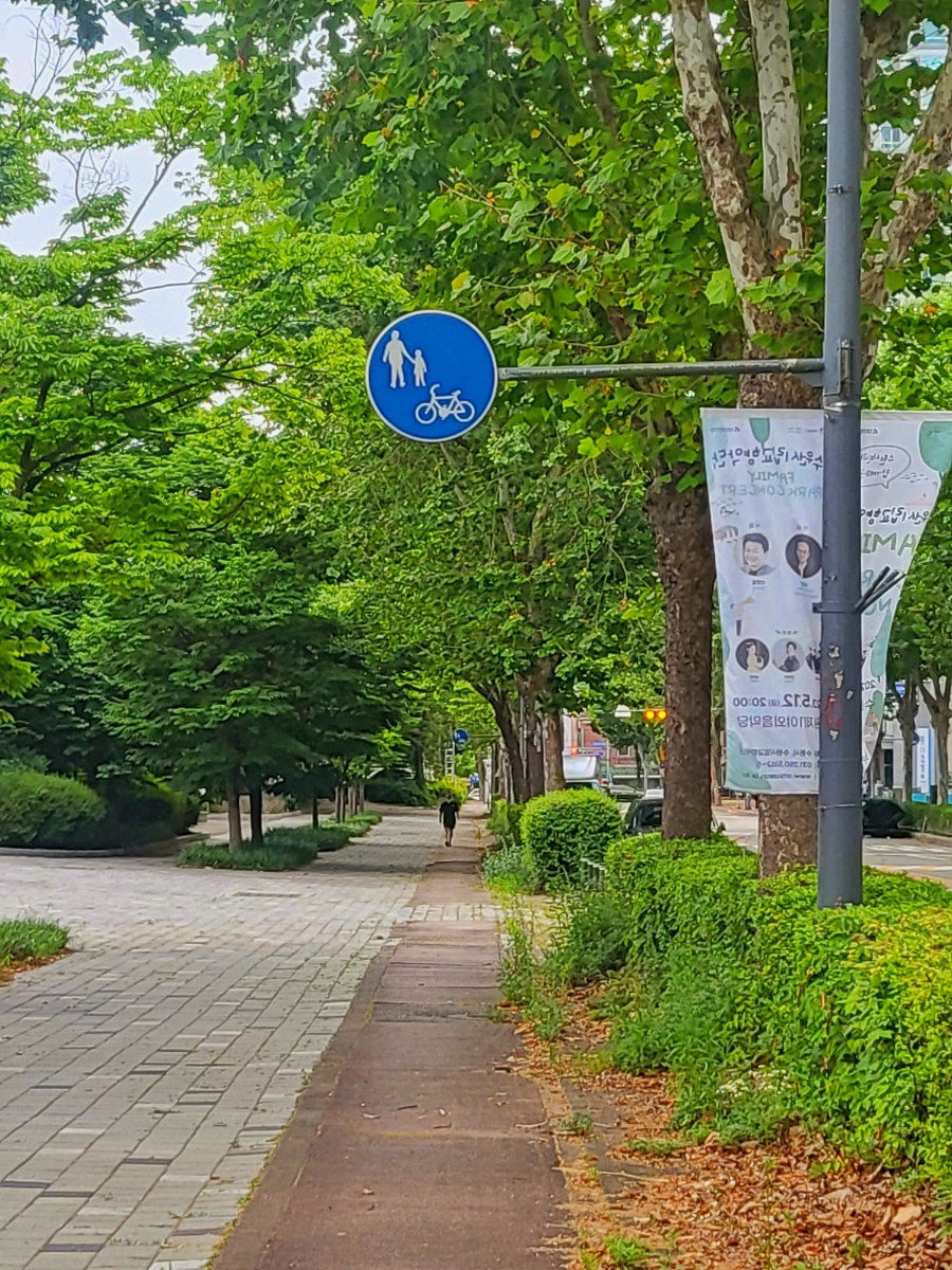 브라운베이글수원 이미지