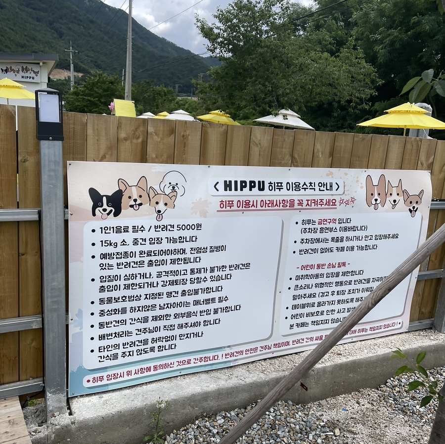 히푸(HIPPU) 이미지