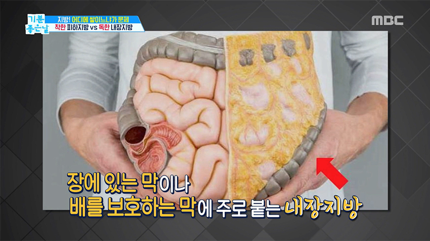 내장숲 이미지