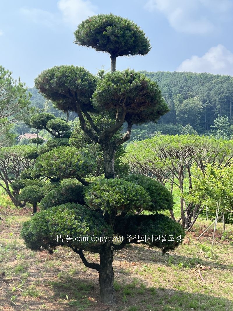 (주) 한울조경 이미지