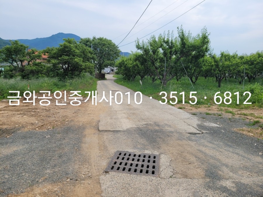 코너613 이미지