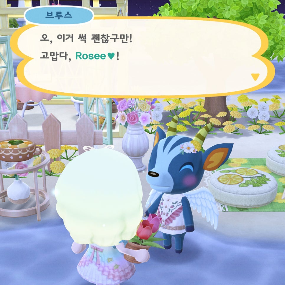 브루스템 이미지