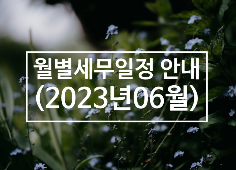 다인세무회계 이미지