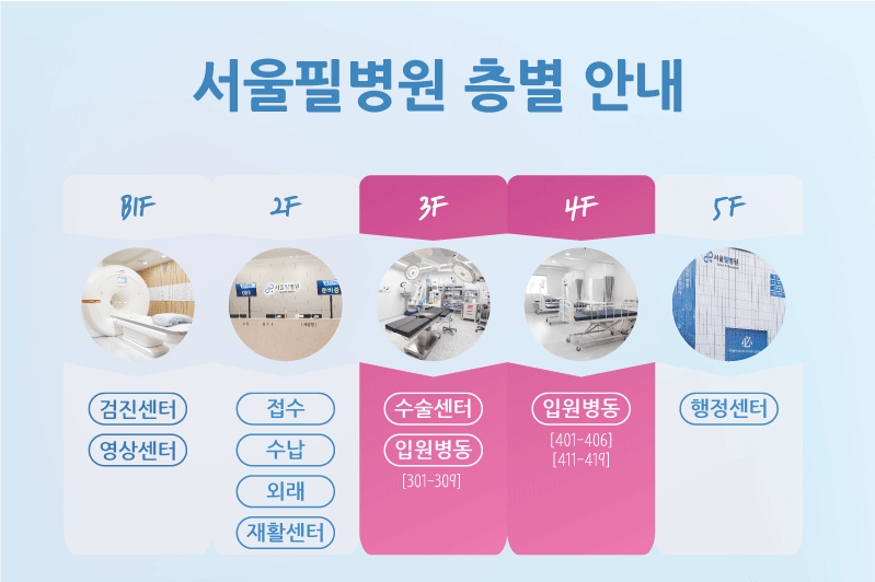서울필병원 이미지
