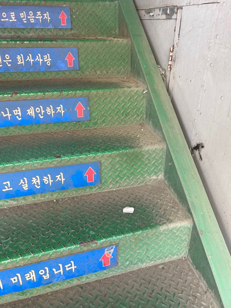 크린시스 이미지
