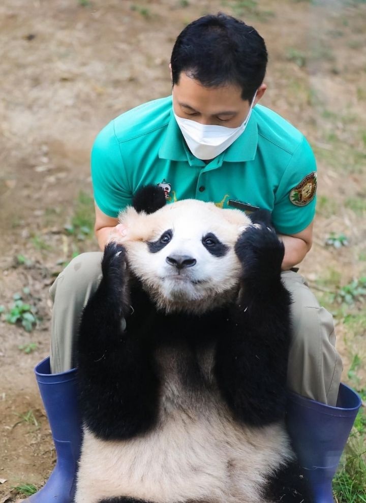 308막창 이미지