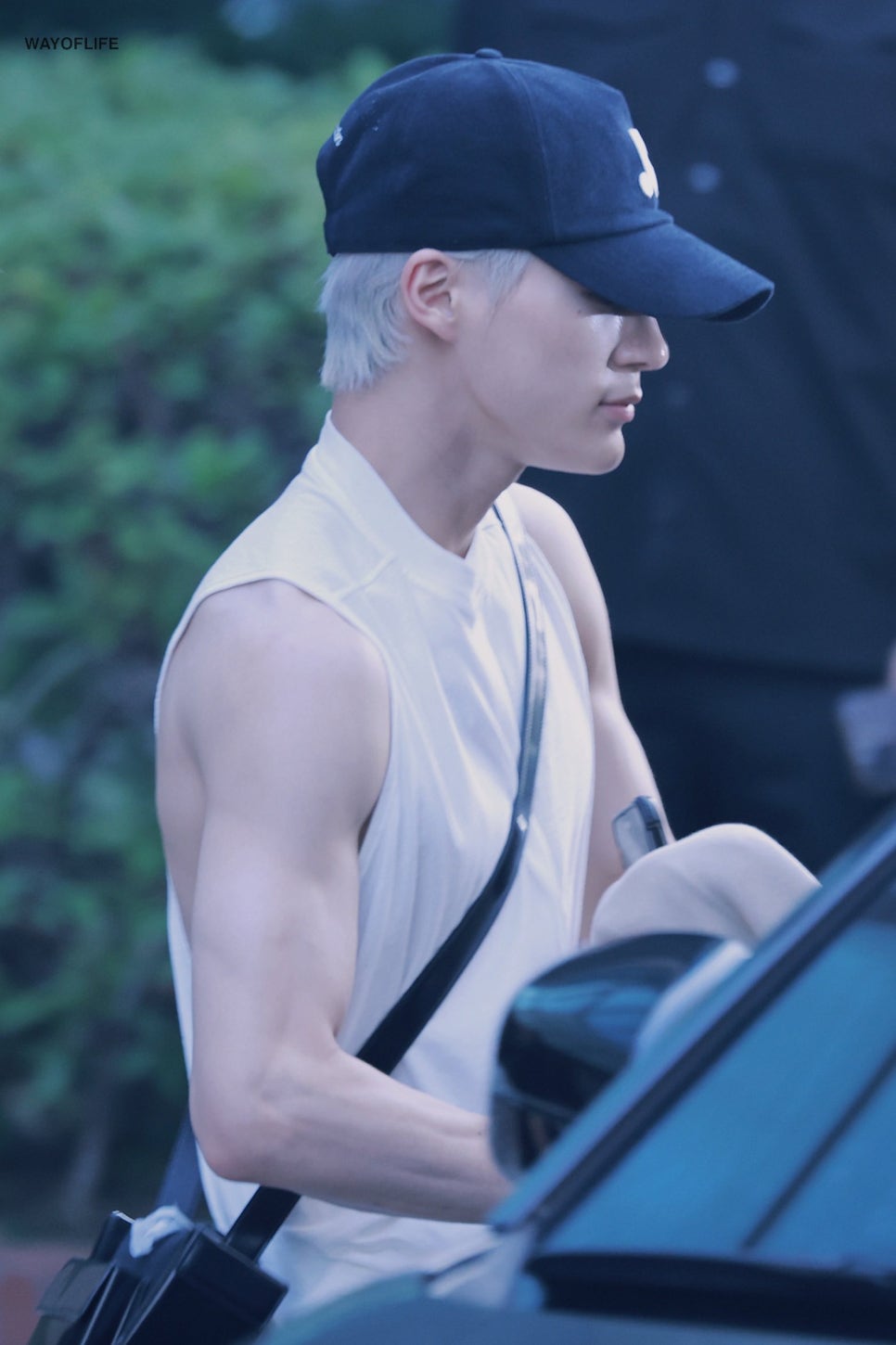 티레스트 이미지