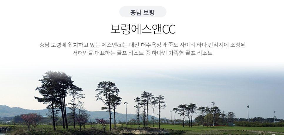 에스엔오토 이미지