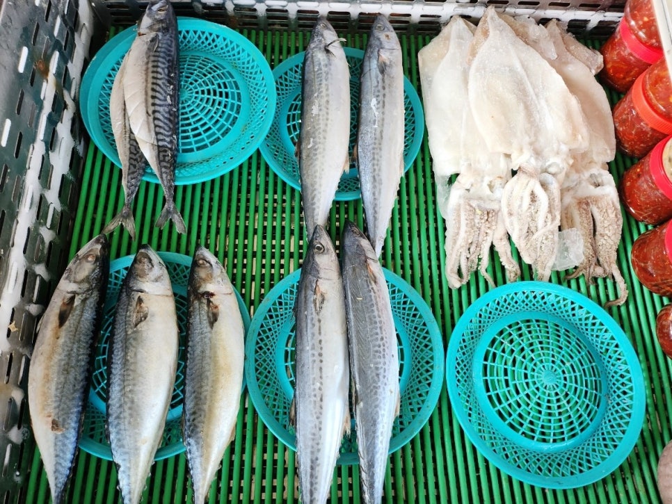 금마수산 이미지