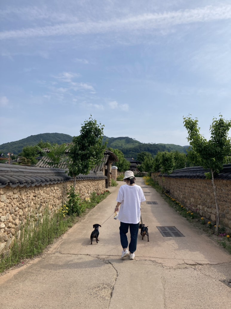 송간재 이미지