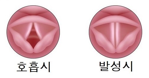 성대컴퓨터 이미지