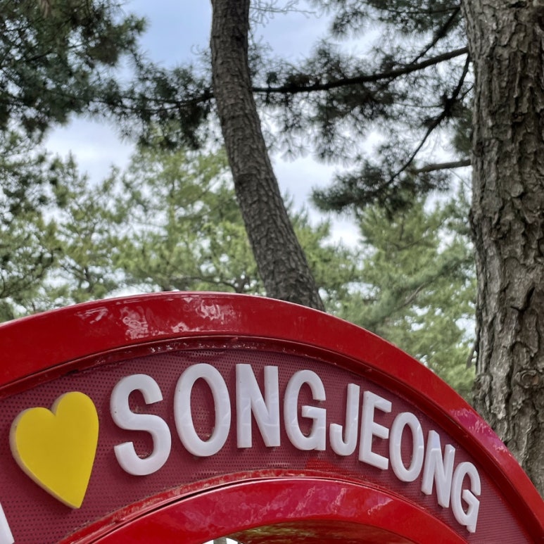 강원애드컴 이미지