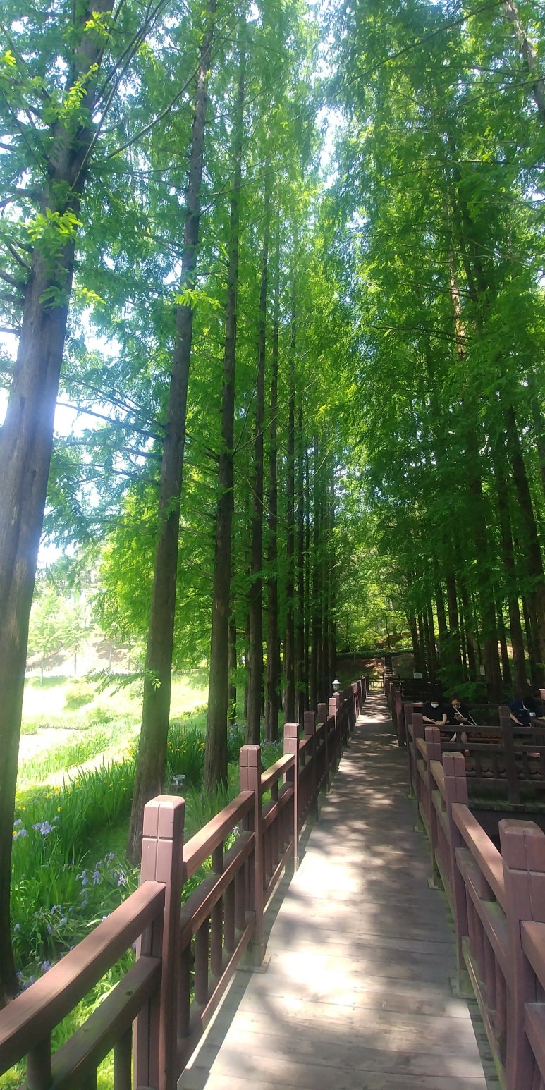 (경주·포항)해피케어 이미지