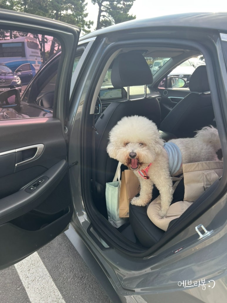 한들렌트카 이미지