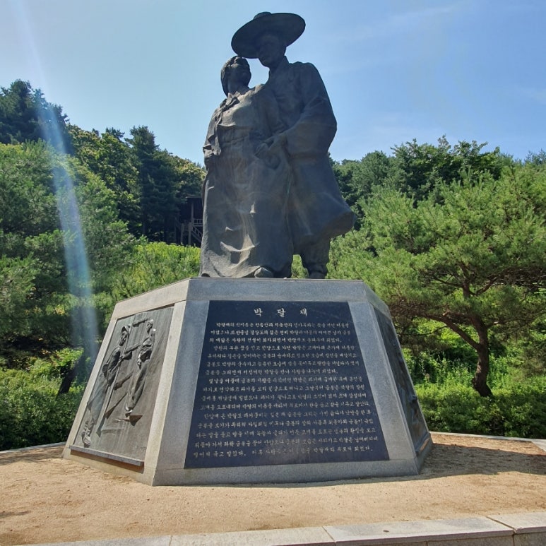 금봉노래 이미지