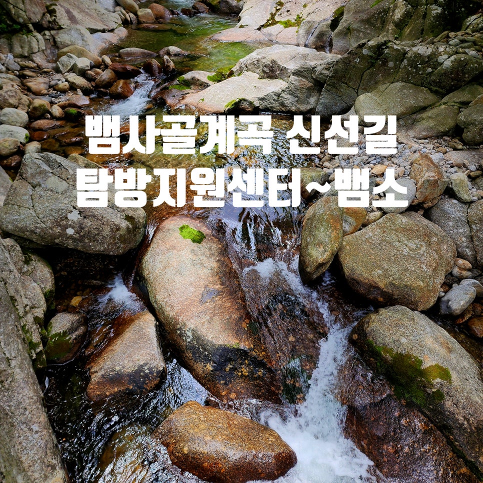 반선공용버스터미널 이미지