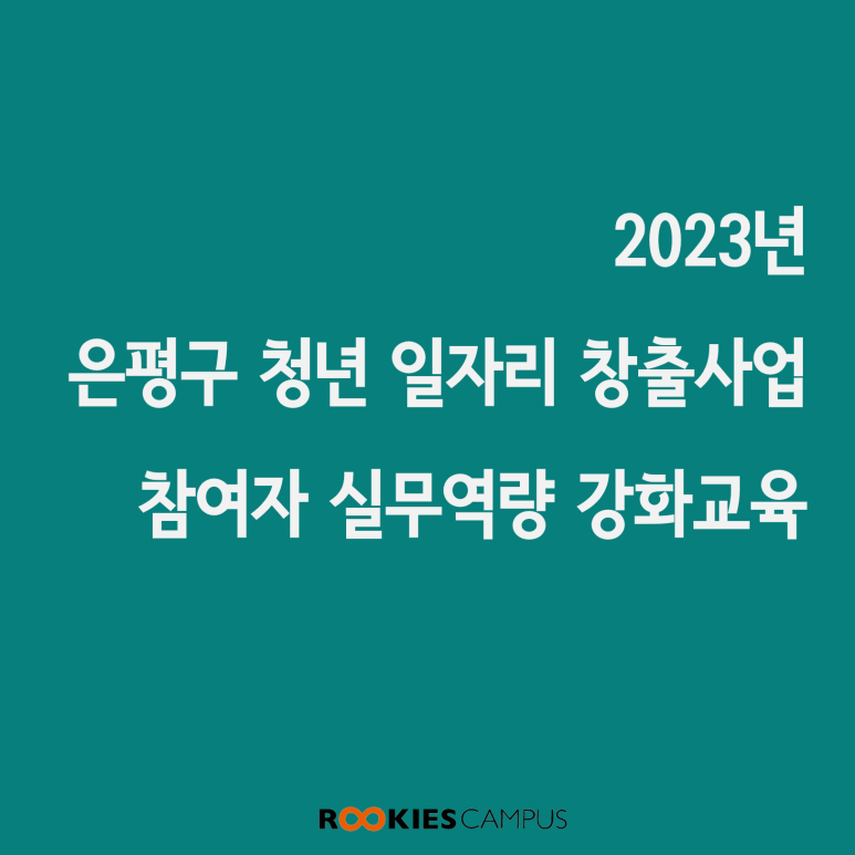 와이즈레인 이미지