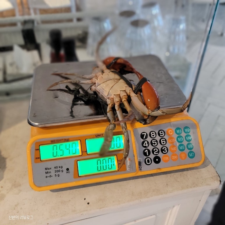 티본터치 이미지